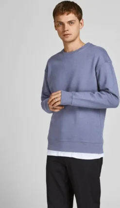 Jack & Jones Jack&Jones JJESTAR BASIC SWEAT CREW NECK NOOS Grisaille L -DIDRIKSONS Verkäufe 31eb38dda9fb000564356b1d26283921