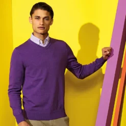 Asquith & Fox Herren Baumwolle Reichen V-Ausschnitt Pullover RW5188 (L) (Violett) -DIDRIKSONS Verkäufe 4a8749c3d30e8edab3519ad752e8f415