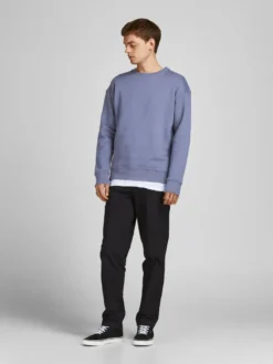 Jack & Jones Jack&Jones JJESTAR BASIC SWEAT CREW NECK NOOS Grisaille L -DIDRIKSONS Verkäufe 905f5bef0d20305b96d719af67d0bc8a
