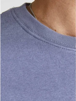Jack & Jones Jack&Jones JJESTAR BASIC SWEAT CREW NECK NOOS Grisaille L -DIDRIKSONS Verkäufe f29fe59b9df053b2e74d596184cced6f