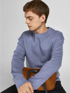 Jack & Jones Jack&Jones JJESTAR BASIC SWEAT CREW NECK NOOS Grisaille L -DIDRIKSONS Verkäufe fa23006f622afa2415a7d41198c4f2f3